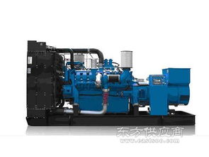 大理科克發電機組 云南貝西力機電設備 大理科克發電機組圖片